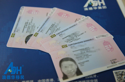匈牙利移民 匈牙利移民