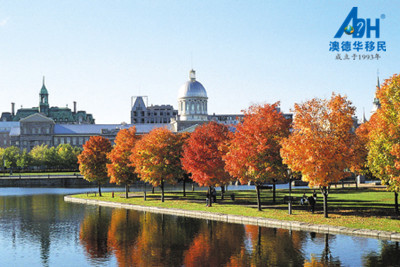 深圳市澳德华信息咨询有限公司_全球最佳移民