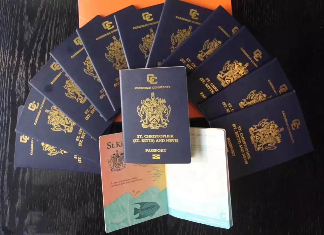 持有一本圣基茨护照的好处有多少?|澳德华移民