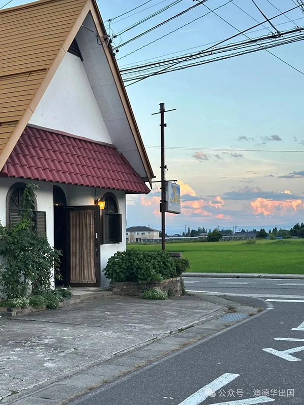 1762852266727694.png 6.webp.png