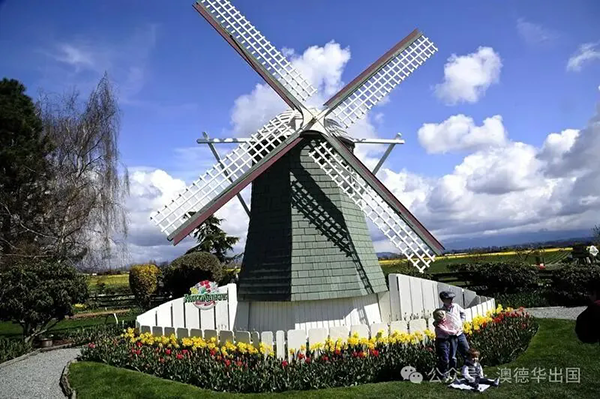 1762853067327763.png 9.webp.png