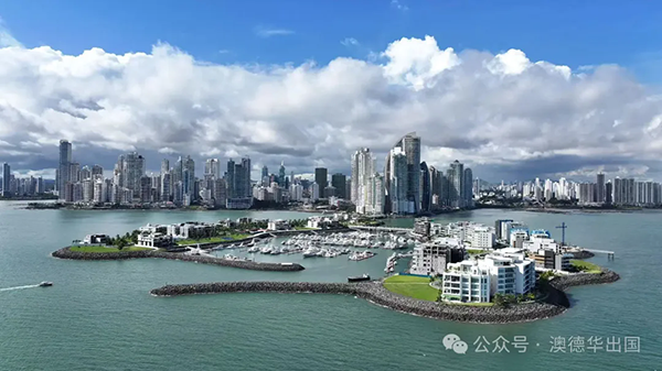 1766049480641521.png 2.webp.png