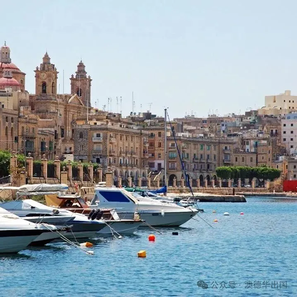 1767518134496531.png 8.webp.png