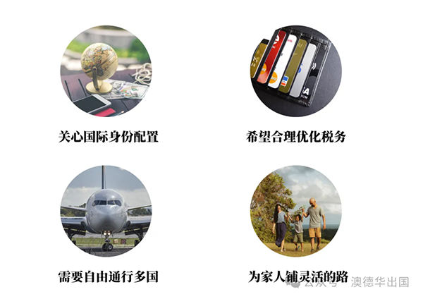 1767940295473125.png 4.webp.png