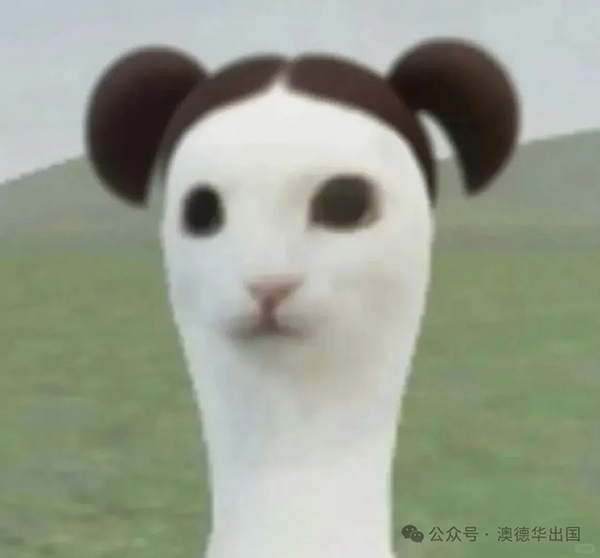 1769586450273067.png 10.webp.png