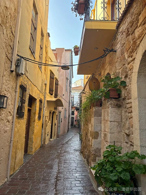 1769586464903848.png 4.webp.png