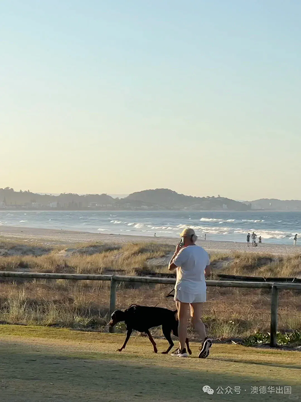 1774250427126480.png 5.webp.png