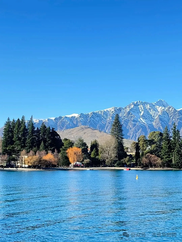 1775555155409446.png 2.webp.png