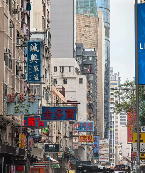 1776067268114171.png 11.webp.png