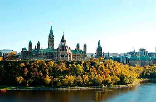加拿大萨省投资移民可以在加拿大做些什么生意？