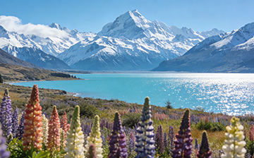 新西兰投资移民：300万纽币起，如何为家族预订一份“终极自由”？