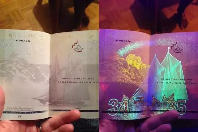 【惊喜】加拿大护照实力再升级,世界第4强