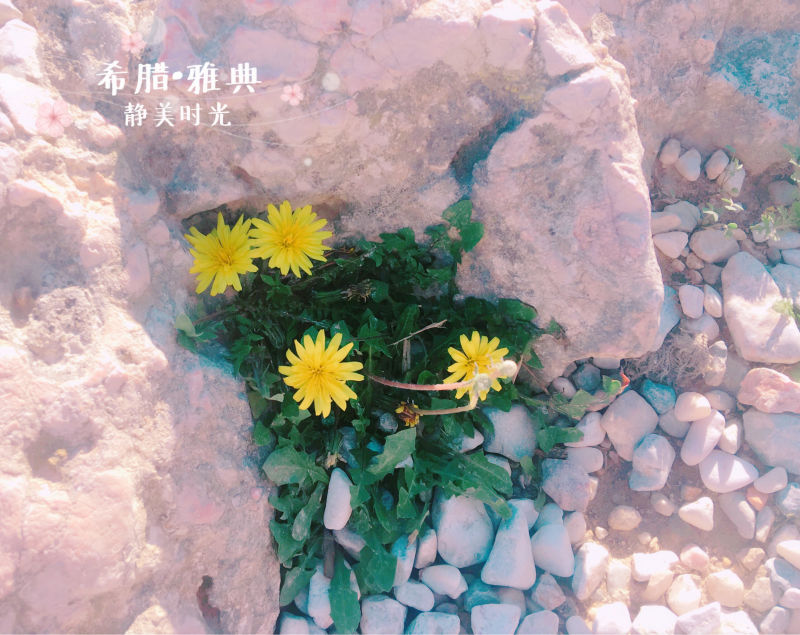 【揭秘】揭秘海外置业的真相:希腊购房移民