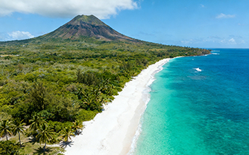 圣基茨和尼维斯投资移民2025：加勒比海护照项目申请指南