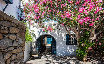 德国人下午三点半就下班，是真的吗？