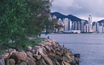 「香港移居」15万人首签集中到期：香港续签的"两址两单"，到底怎么攒