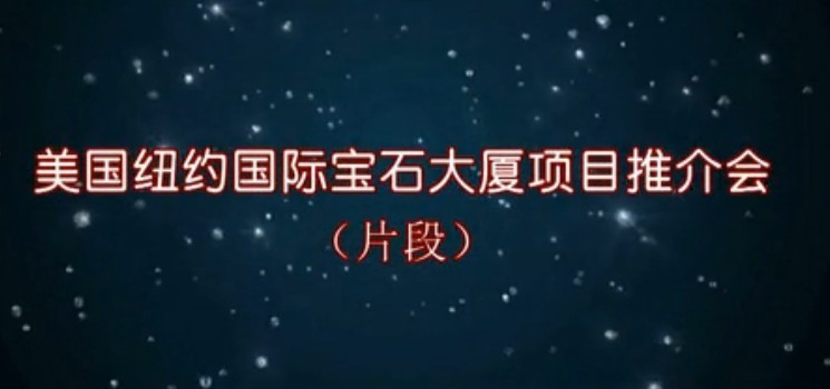 美国纽约国际宝石大厦推介会(片段)