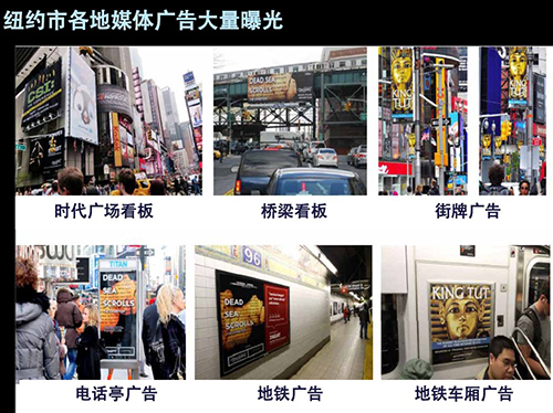 移民美国选择什么项目成功率更高？