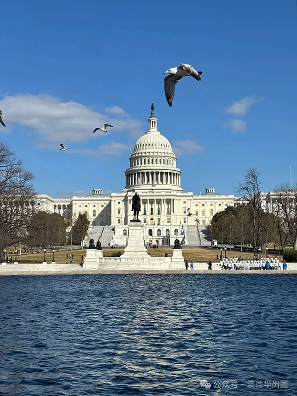 1772612214619353.png 10.webp.png