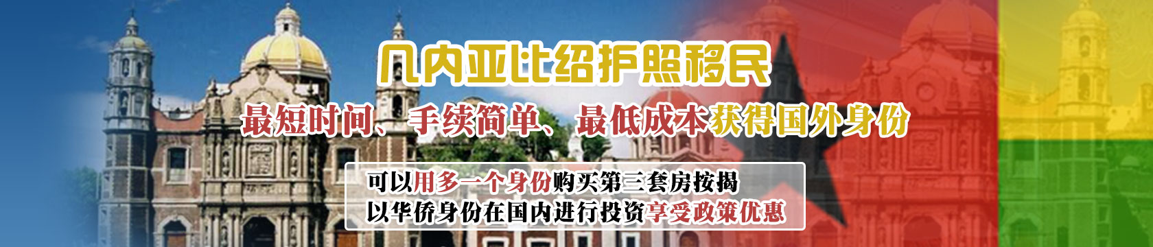 几内亚比绍护照移民