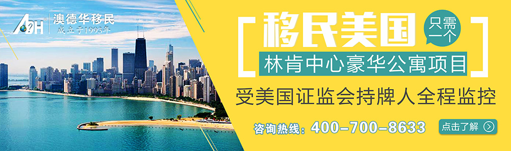 美国林肯中心项目