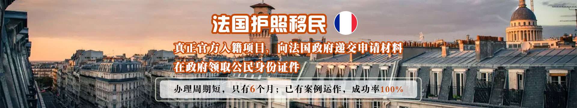 法国护照移民